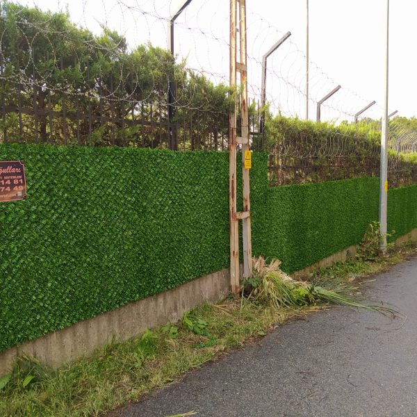 20-600x600