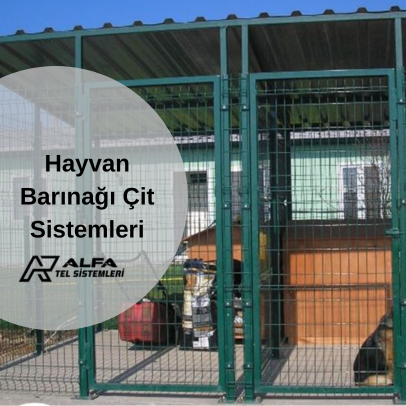 hayvan hayvan